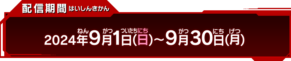 配信期間