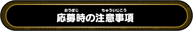 応募時の注意事項