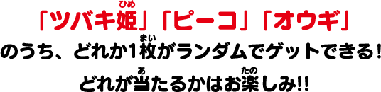 「ツバキ姫」「ピーコ」「オウギ」のうち、どれか1枚がランダムでゲットできる！どれが当たるかはお楽しみ!!