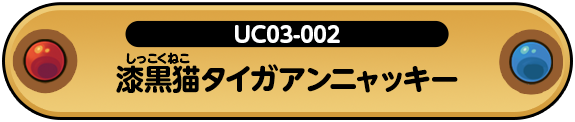 漆黒猫タイガアンニャッキー