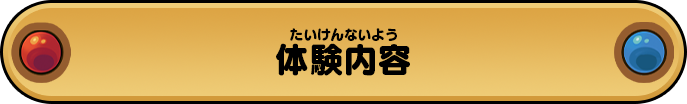体験内容