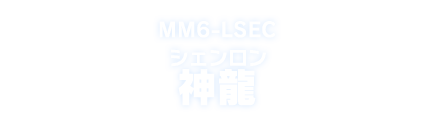 MM6-LSEC 神龍