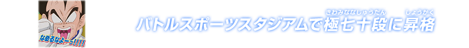 チャットスタンプ 極七十段昇格