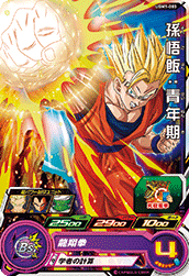 最安挑戦！ ドラゴンボール カード ドラゴンボール - zoopalic.com